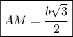 \boxed{AM = \frac{{b\sqrt 3 }}{2}}