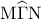 \displaystyle{{\rm M}\widehat \Gamma {\rm N}}
