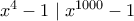 x^4-1 \mid x^{1000}-1