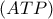 \left( {ATP} \right)