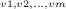 \left { ^{_{v1,v2,...,vm}