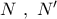 N\,\,,\,\,N'