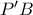 P'B