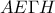 \displaystyle{AE\Gamma H}