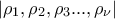 \displaystyle{\displaystyle \left| {{\rho _1},{\rho _2},{\rho _3}...,{\rho _\nu }} \right|}