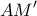 \displaystyle{AM'}