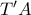 T'A