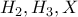 H_{2},H_{3},X