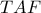 TAF