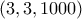 (3,3,1000)