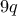 9q
