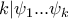 k|\psi_1...\psi_k