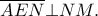 \overline {AEN} \bot NM. \overline {AEN} \bot NM.