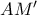 AM&rsquo;