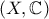 \displaystyle{(X, \mathbb{C} )}
