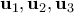 \mathbf{u}_1,\mathbf{u}_2,\mathbf{u}_3