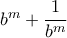 b^m+\dfrac {1}{b^m}
