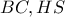 \displaystyle{BC,HS}