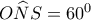 O\widehat NS=60^0