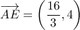 \overrightarrow {AE}  = \left( {\dfrac{{16}}{3},4} \right)\,\,