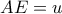 AE = u