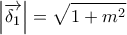 \displaystyle{ 
\left| {\overrightarrow {\delta _1 } } \right| = \sqrt {1 + m^2 }  
}