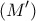 \displaystyle{(M')}