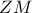 \displaystyle ZM