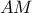 \displaystyle{ 
AM 
}