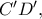C'D',