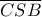 \overline {CSB} 