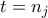 t=n_j t=n_j