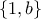 \left \{ 1,b \right \}