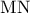\displaystyle{ 
{\rm M}{\rm N} 
}