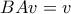 BAv = v