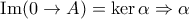 \text{Im}(0\rightarrow A)= \ker \alpha \Rightarrow \alpha