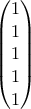 \begin{pmatrix} 1\\ 1\\ 1\\ 1\\ 1 \end{pmatrix}