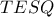 TESQ