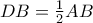 DB=\frac{1}{2}AB