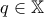 \displaystyle{q \in \mathbb{X}}