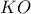 \displaystyle{KO}