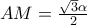 AM=\frac{\sqrt{3}\alpha }{2}
