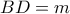 BD=m
