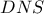DNS