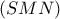  (SMN)
