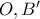 O, B'