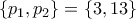 \{p_1, p_2\} = \{3, 13\}