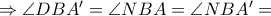 \Rightarrow \angle DBA'=\angle NBA=\angle NBA'=