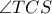 \angle TCS \angle TCS