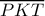\displaystyle \overline {PKT} 
